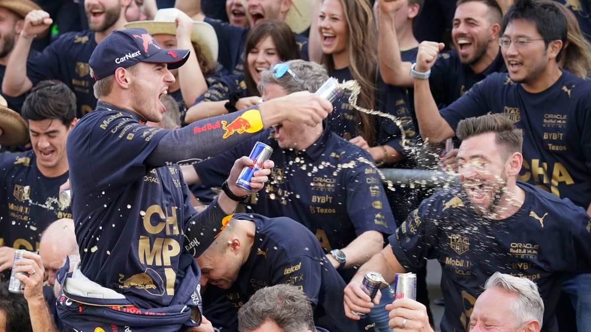 Red Bull driver celebrates with team