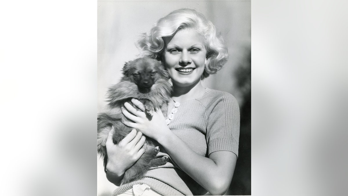 Jean Harlow rumors Paul Bern