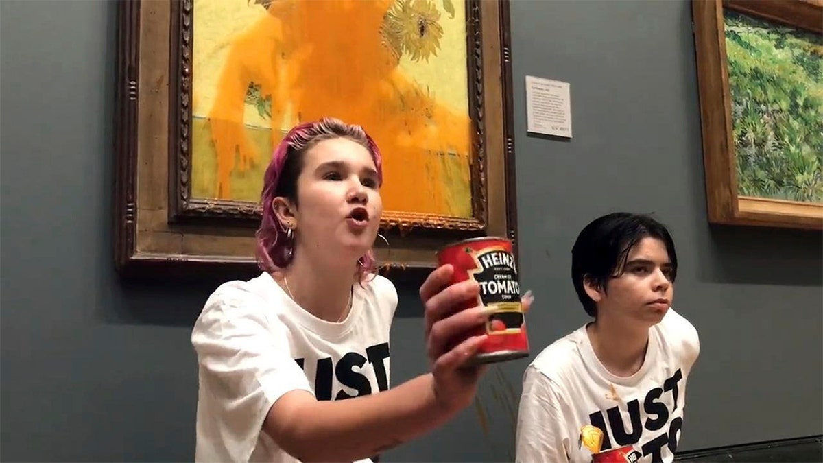 Environmentalists dump tomato sauce on Van Gogh painting in London