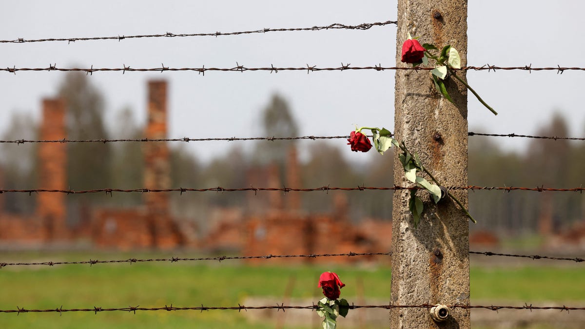 Auschwitz survivor and Sinti and Roma advocate dies at 98