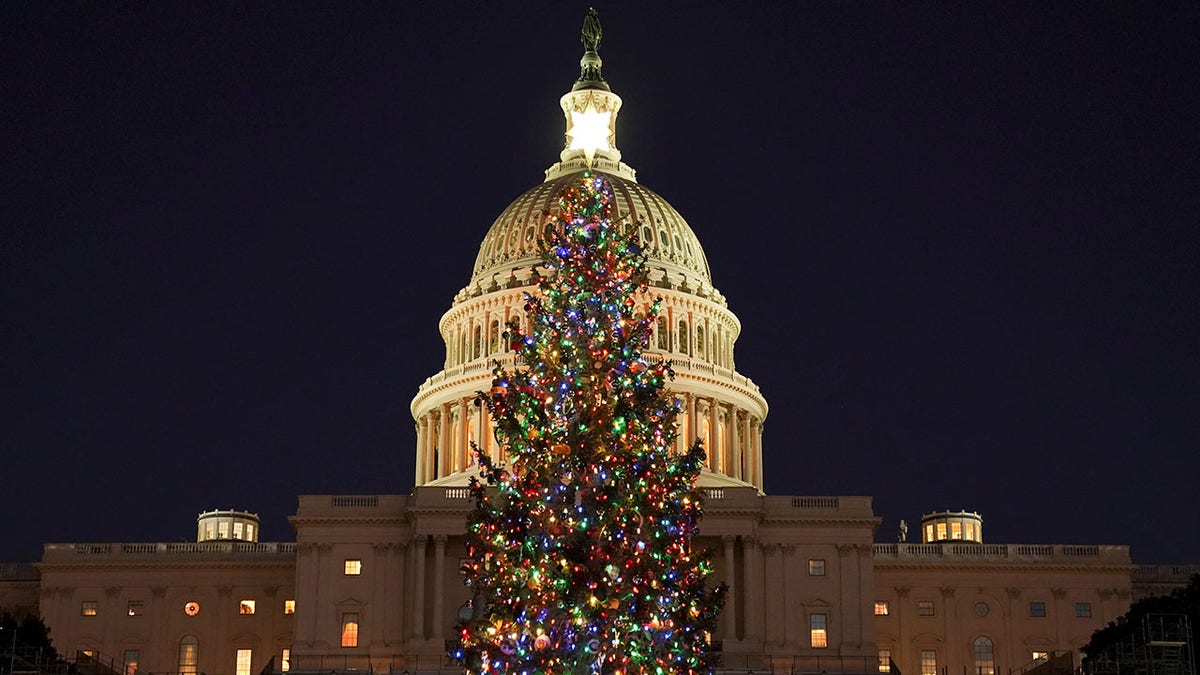 US Capitol Christmas tree