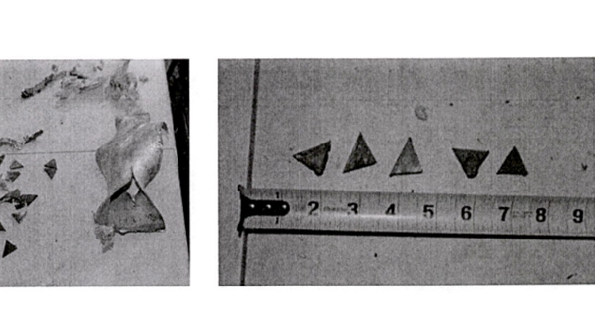 Hand-cut shrapnel next to a ruler