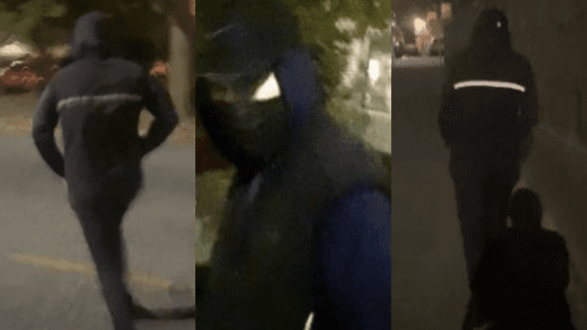 Photos of Seattle feces suspect