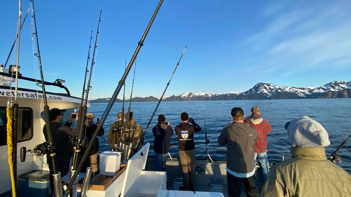 People standing in a boat and taking a picture of the snowcapped, mountainous horizon