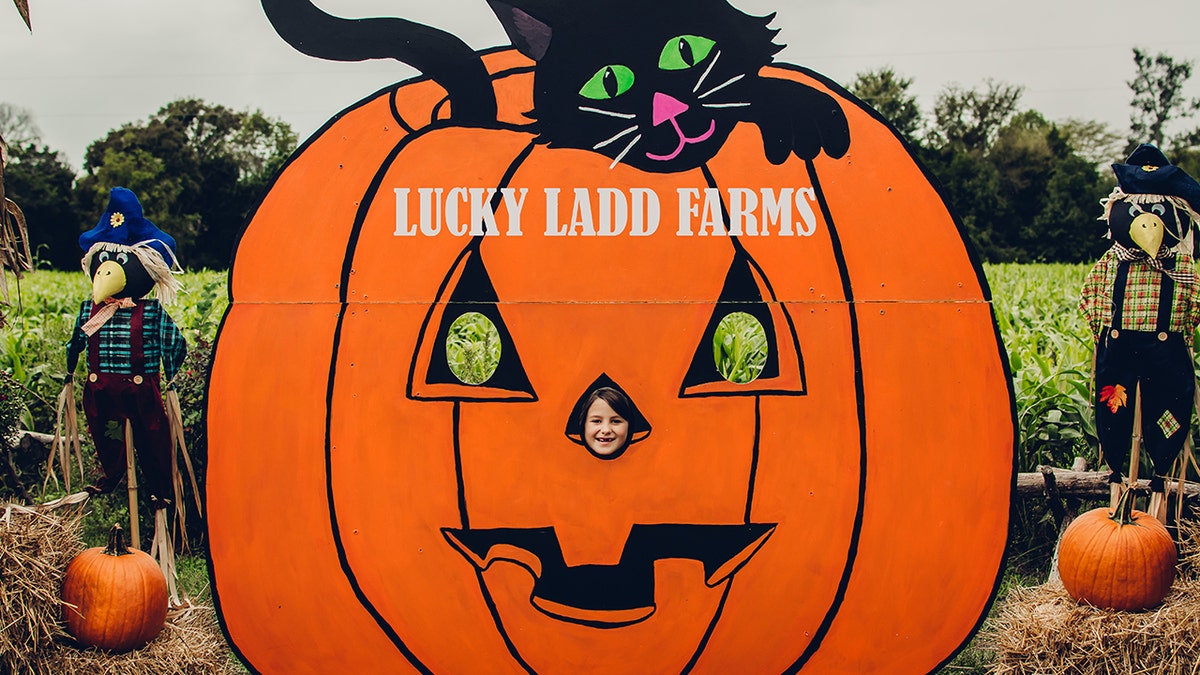 Lucky Ladd Farms Pumpkin patch