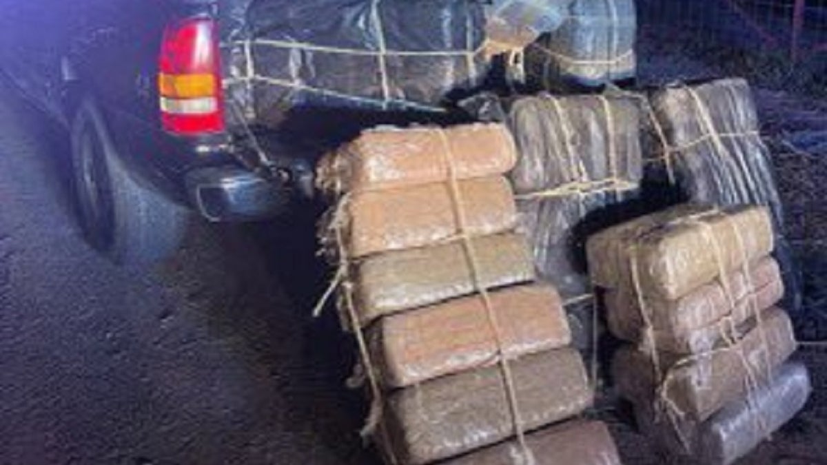 Marijuana packages found at border