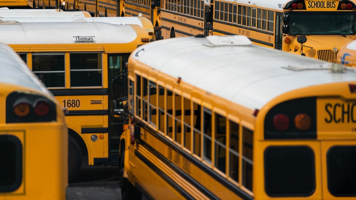 Georgia school buses