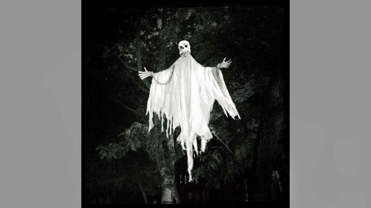 Skeletal ghost figure in tree