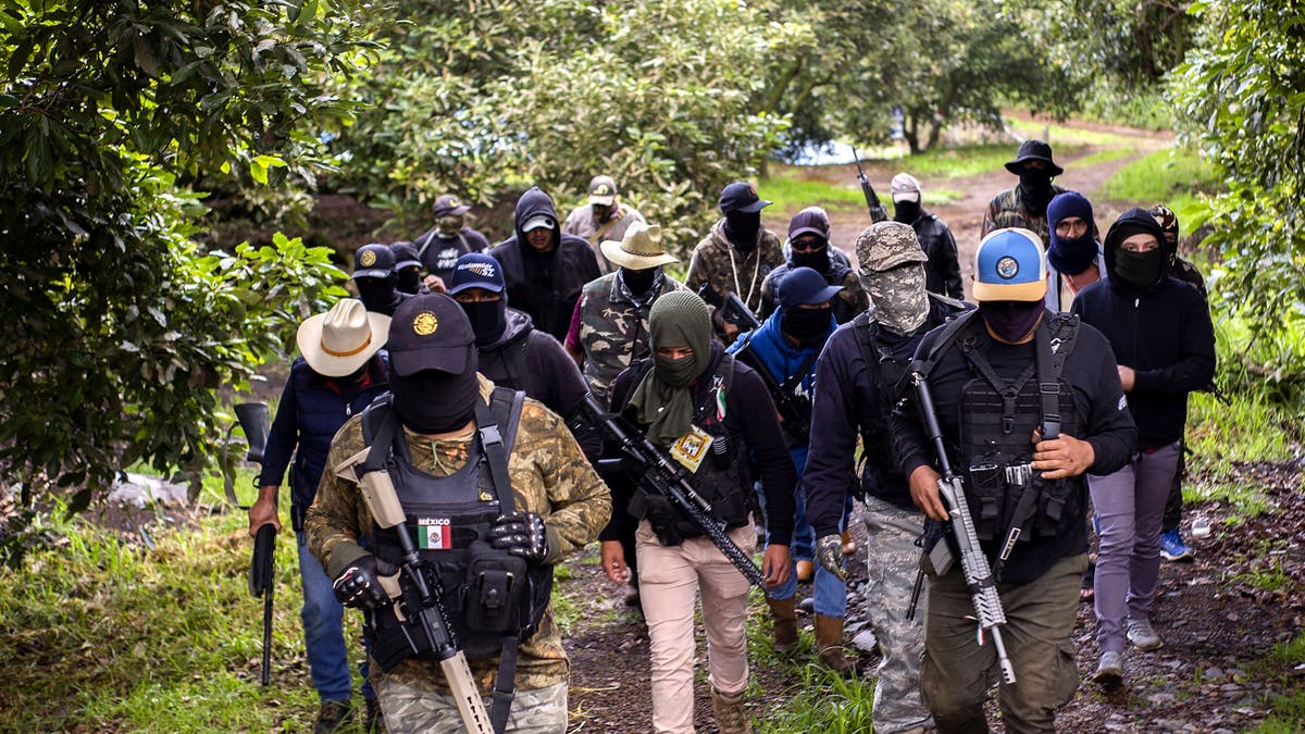 Mexico Cartel self-defense