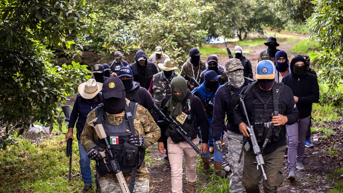 Autodefensa del cártel mexicano