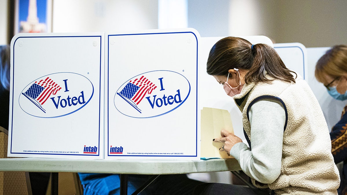 ballot box, voters