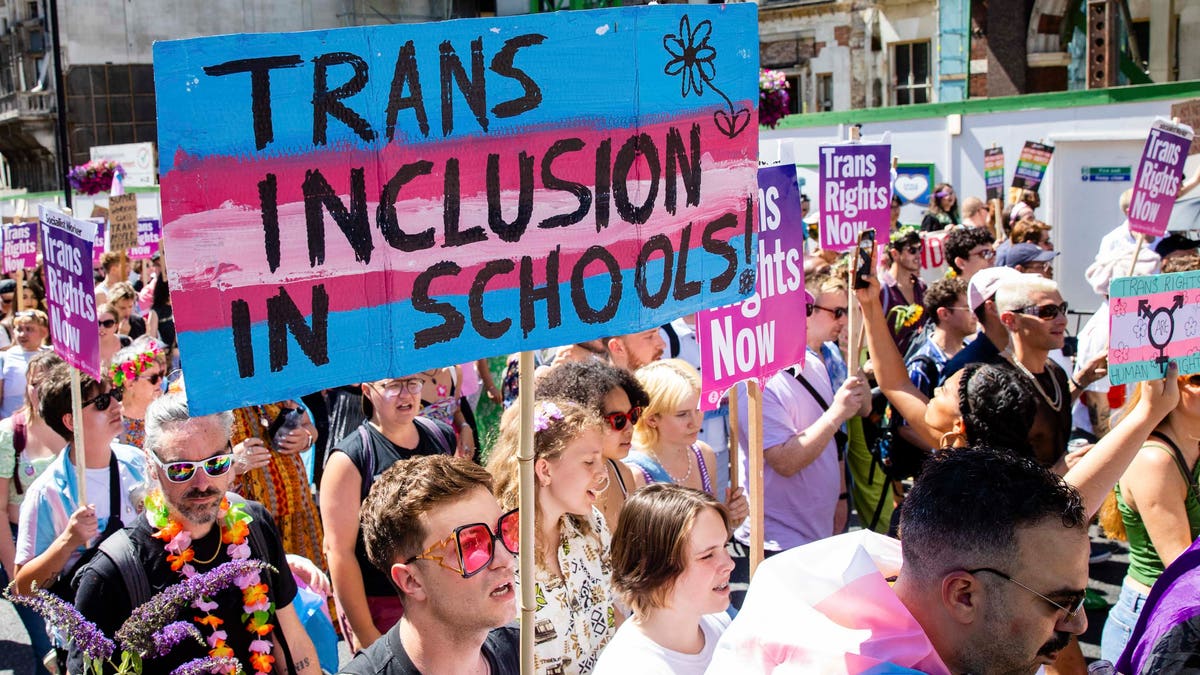 pro-transgender marcher holds 'trans inclusion in schools' sign