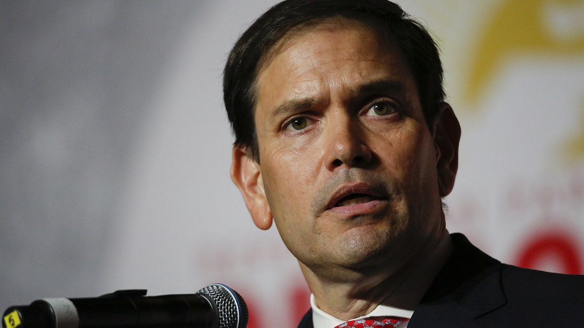 Florida Senate election: Trump tells supporters to back Rubio over Rep ...