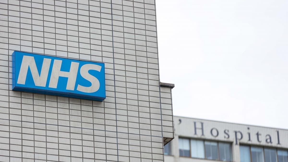 AI robots capable of carrying out attack on NHS that would cause COVID-like disruption, expert warns - Fox News