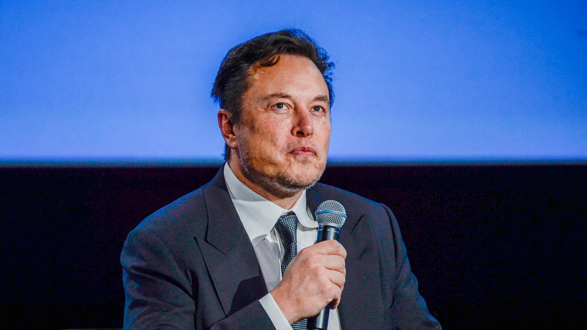 Elon Musk holds a microphone