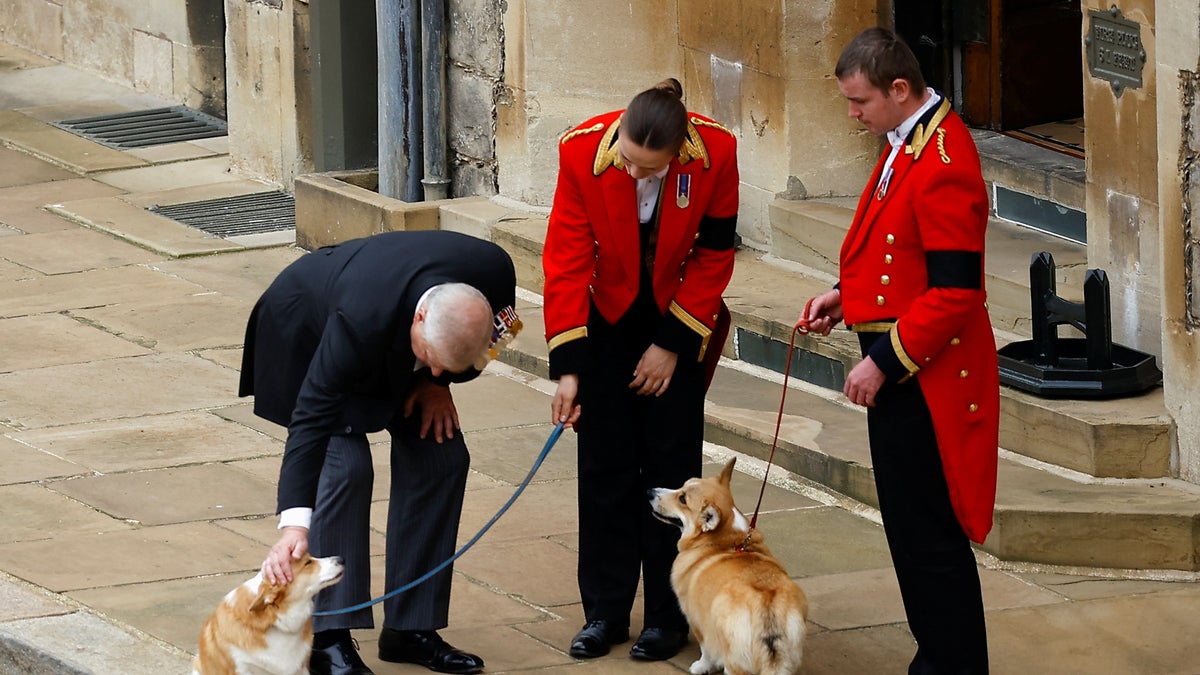 Prince Andrew visited with the Queen's corgis prior to her funeral