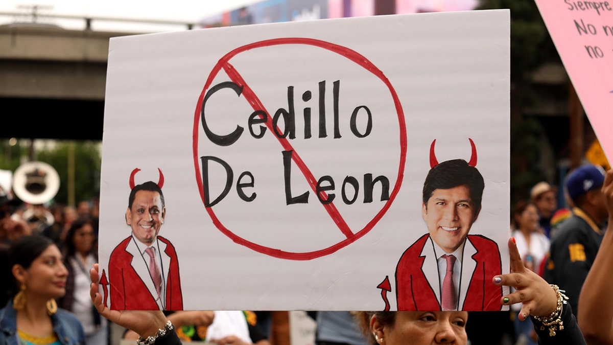 anti-Cedillo and de Leon sign