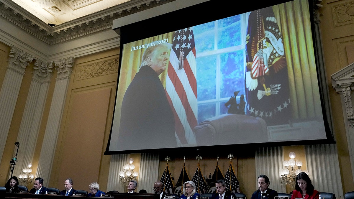 Donald Trump on a projector screen