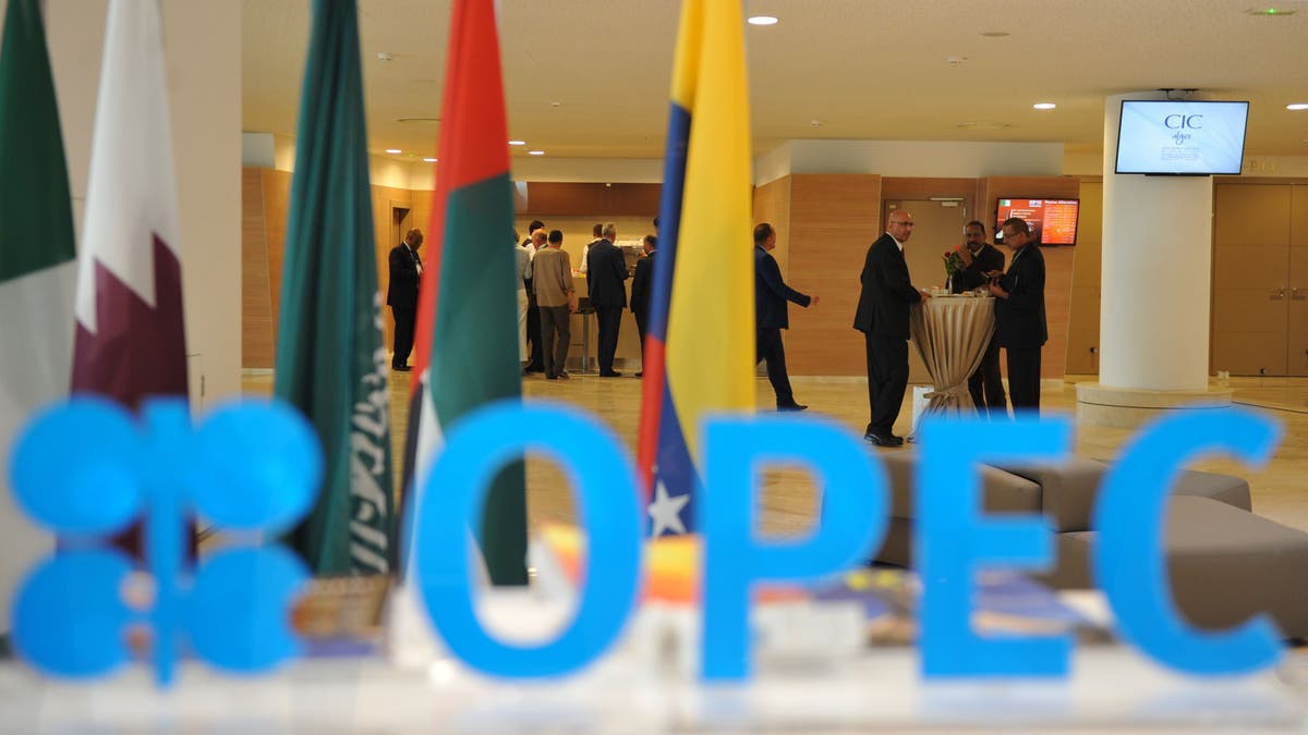 Participants attend OPEC energy conference