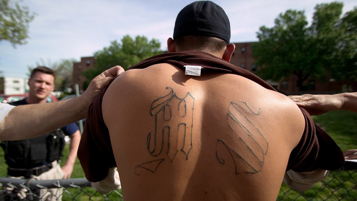 MS-13 gang member tattoo Maryland