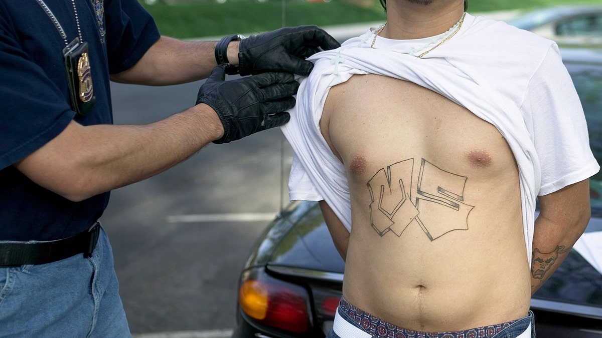 MS-13 member arrested with tattoo showing gang name