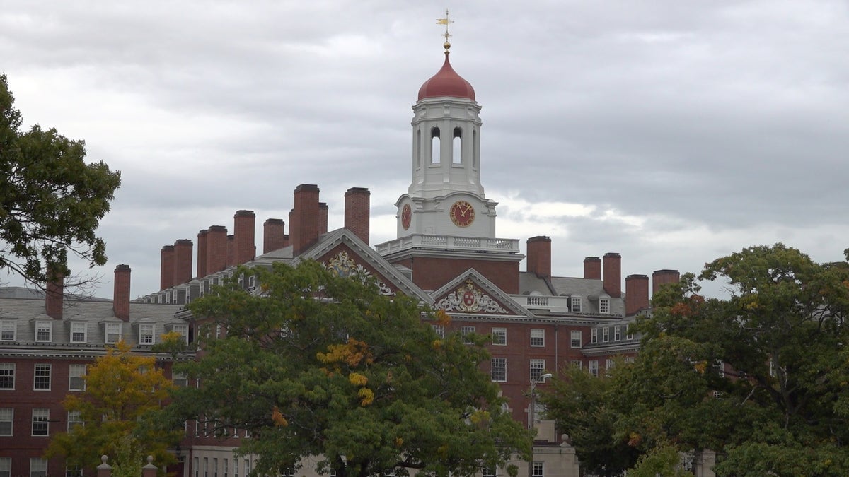 Harvard University's bell tower