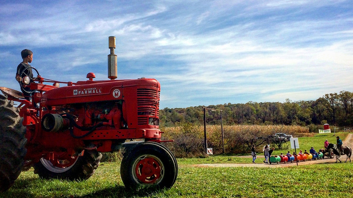 Pumpkin Patch at Hill High Farm