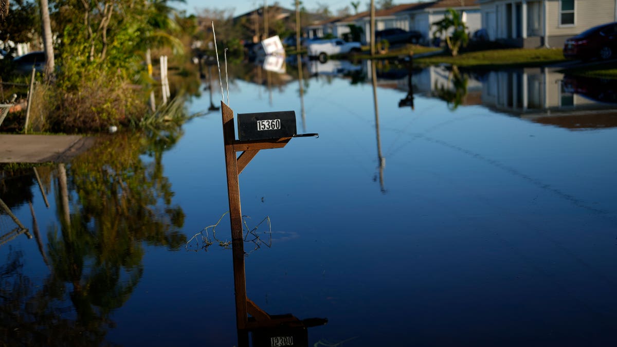 Mailbox sticking out of the flood waters