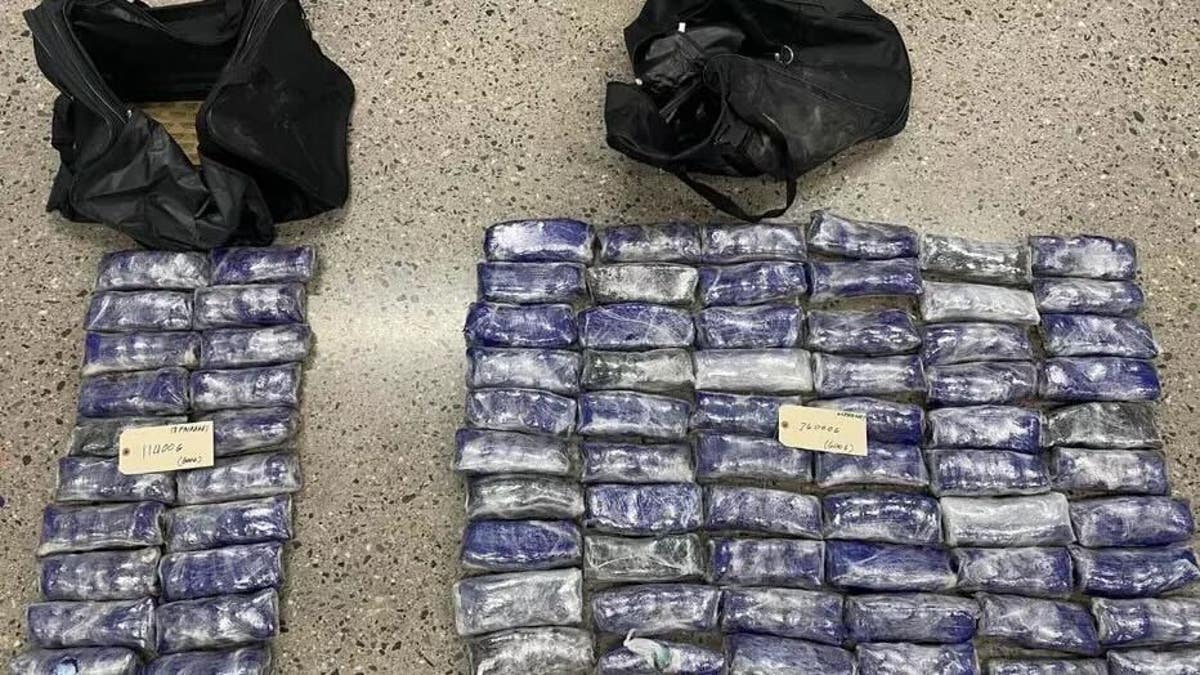 Fentanyl bust