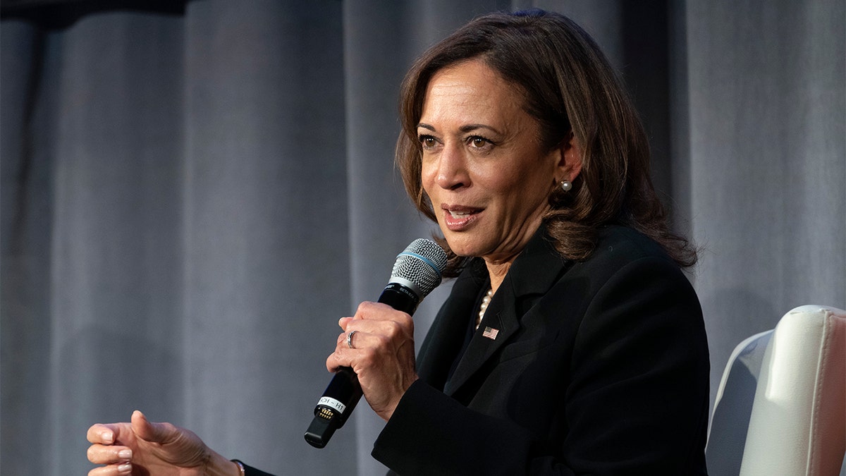 Vice President Kamala Harris discusses hurricane recovery and "equity"