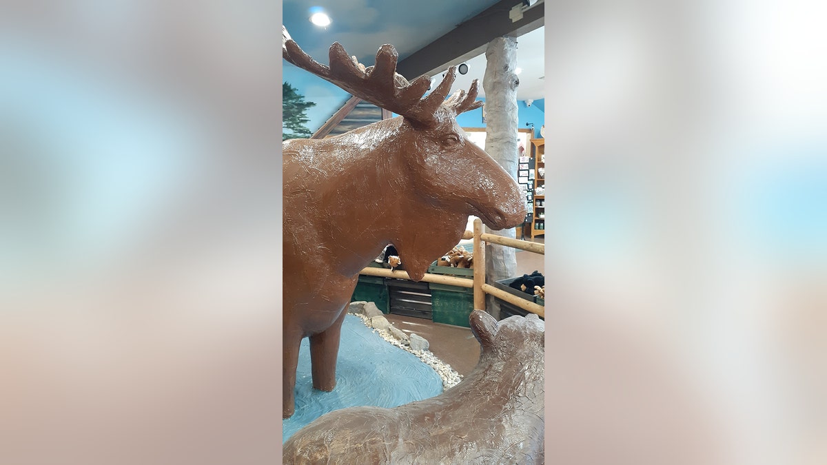 Lenny the chocolate moose