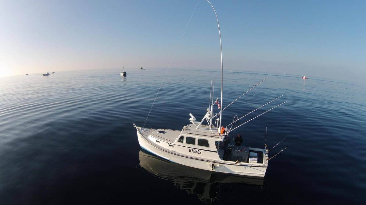 Aerial view of Dr Marvin Moy's boat