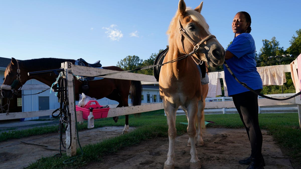 Woman grooming a horse