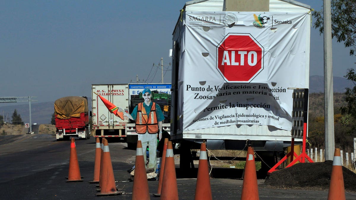 Mexican bird flu at boarder of U.S.