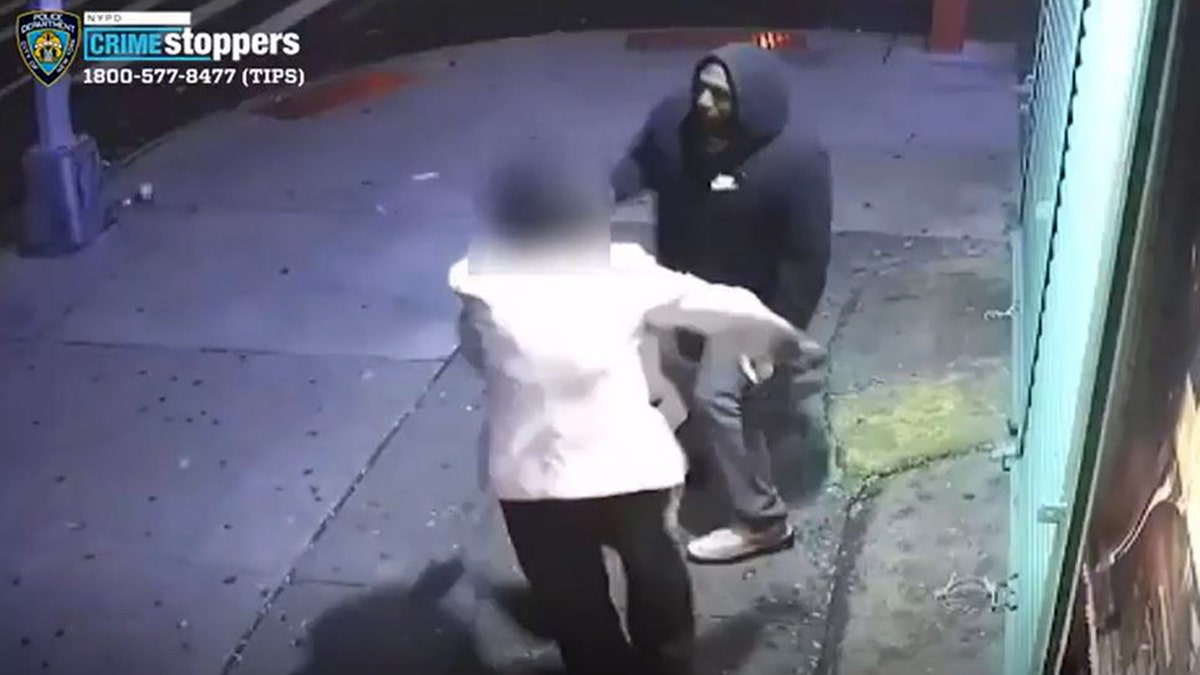 NYPD purse snatch photo two