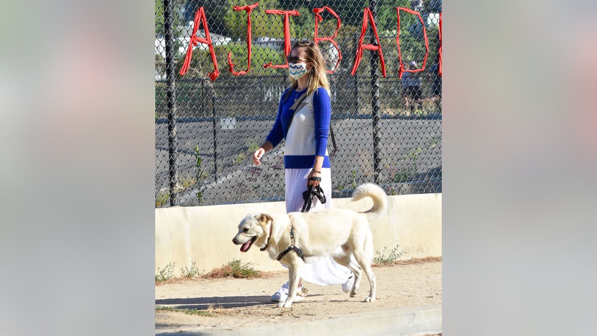 Olivia Wilde walks her dogs