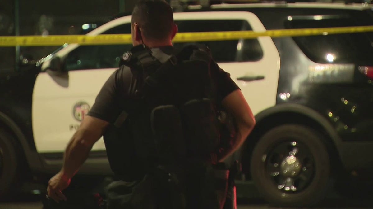 LA carjacking scene with police officers