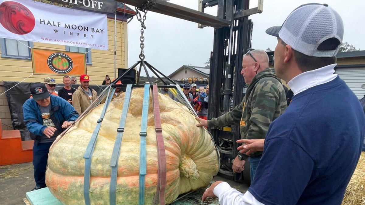 California pumpkin championship