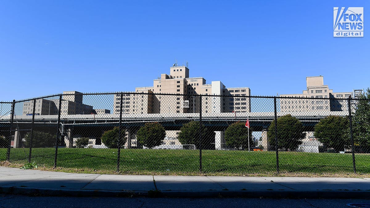 randall's island psychiatric hospital