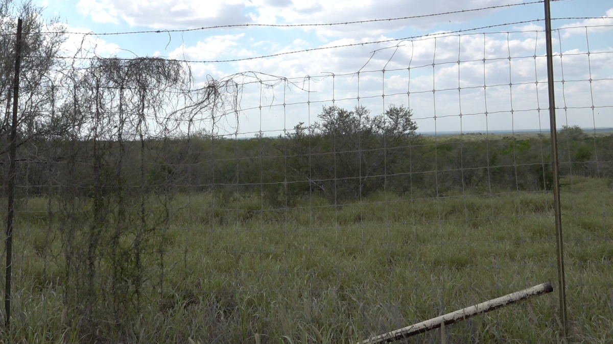 Damage to a ranch fence