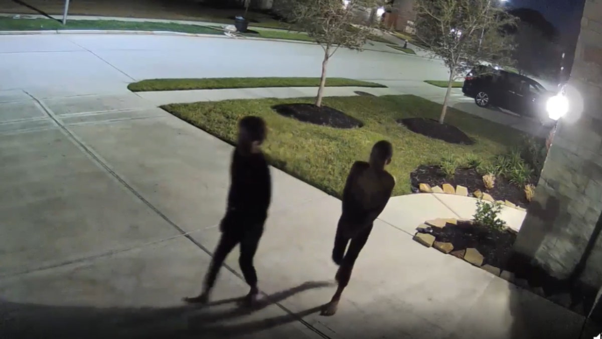 Abused Texas twins on Zoom footage