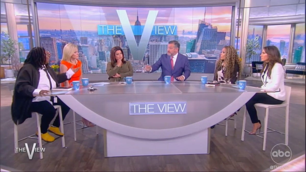 photo of Ted Cruz on "The View"