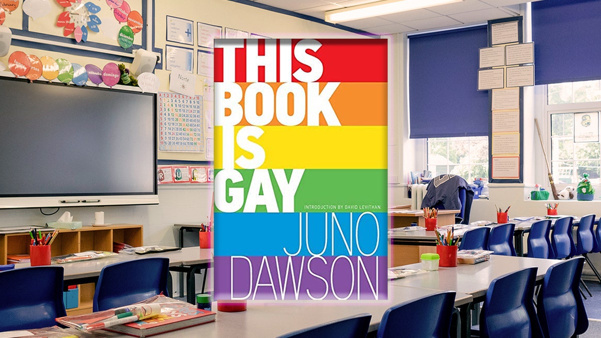 banned books California public school gender identity