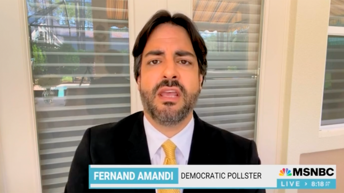 Fernand Amandi on MSNBC