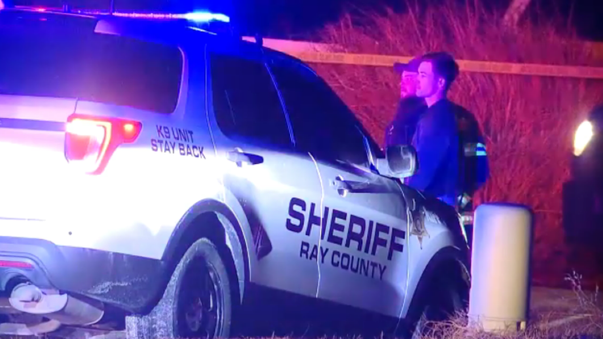 Officials standing near suspect dog attack scene