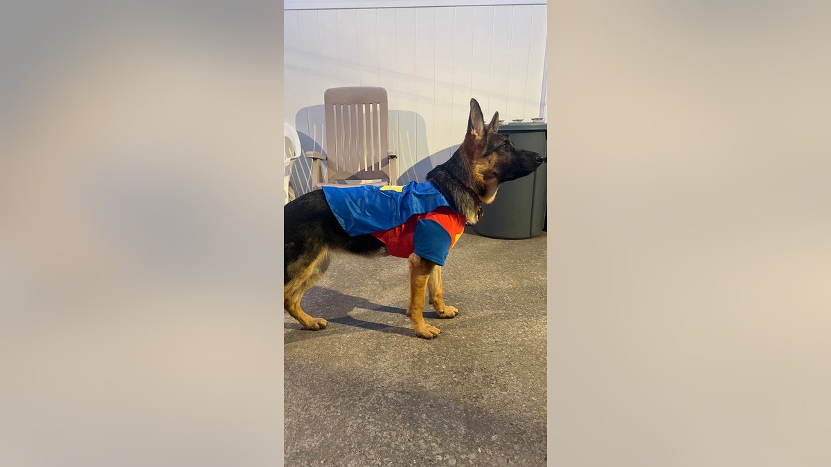 Storm dressed in hero costume