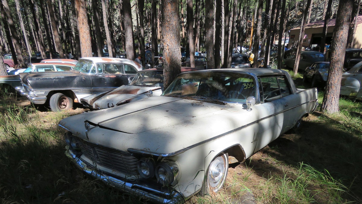 Dozens of classic cars fill South Dakota gorge