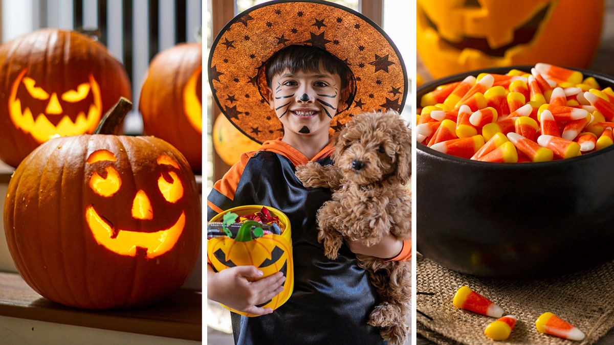 Left: Jack-o-lanterns. Middle: Child trick-or-treating with dog. Right: Candy corn in bowl.