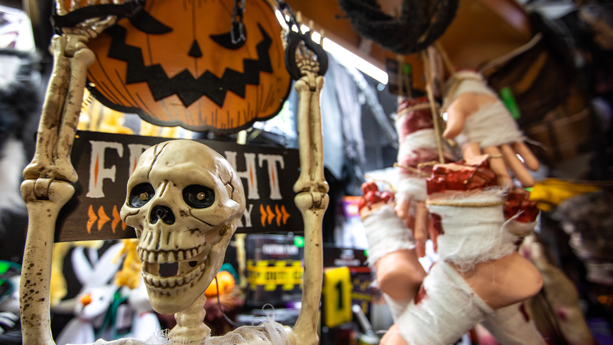 Skeleton holding pumpkin halloween decorations