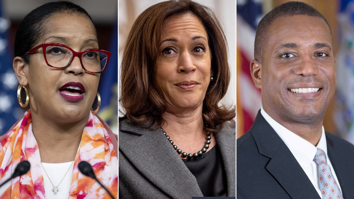 Rep. Jahana Hayes, VP Kamala Harrris, George Logan